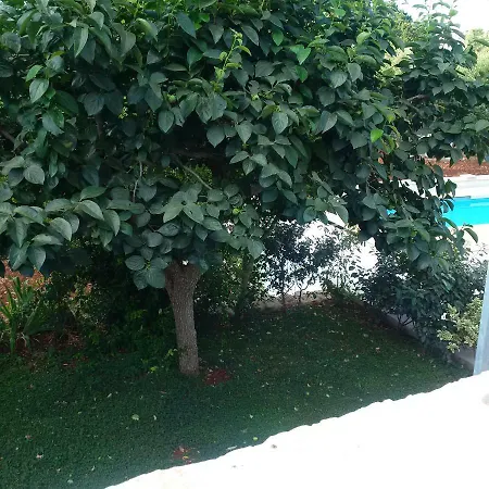 Appartement Pignare *